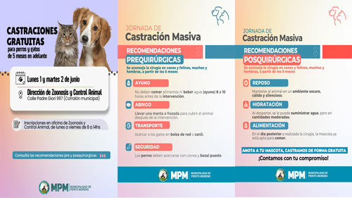 Perito Moreno organiza jornadas de castración gratuitas para caninos y felinos en junio