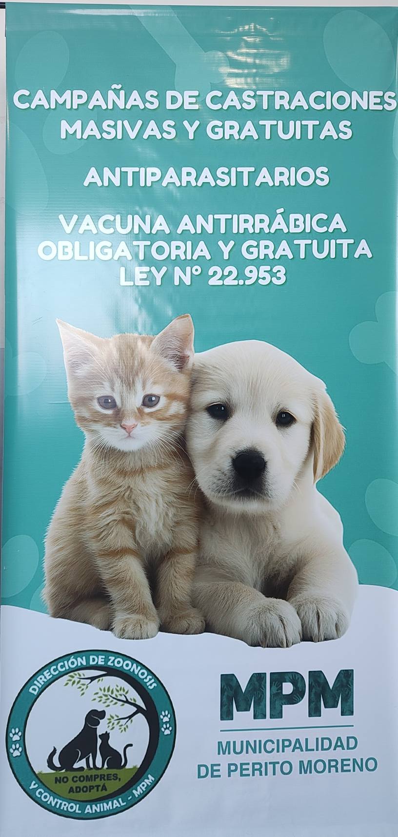 Sanidad animal en Perito Moreno: la gestión local completó operativos de castración y vacunación