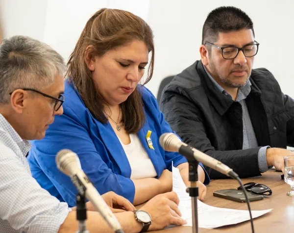 Diputados avanzaron con proyectos sobre seguridad y tarifas de gas en Santa Cruz